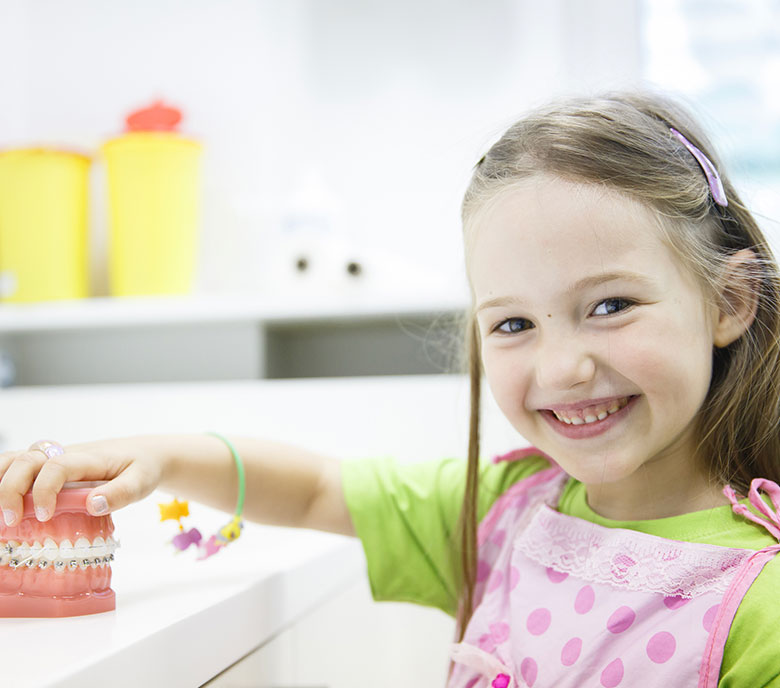 little girl holding a model of teeth with braces